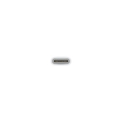 Apple Braided USB 2.0 Cable USB-C male - USB-C Λευκό 1m