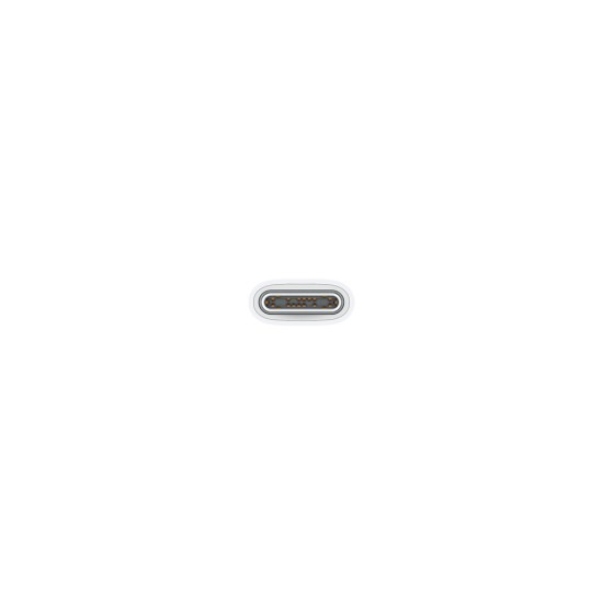 Apple Braided USB 2.0 Cable USB-C male - USB-C Λευκό 1m