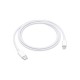 Apple Regular USB 2.0 Cable USB-C male - Lightning Λευκό 1m (MQGJ2ZM/A)